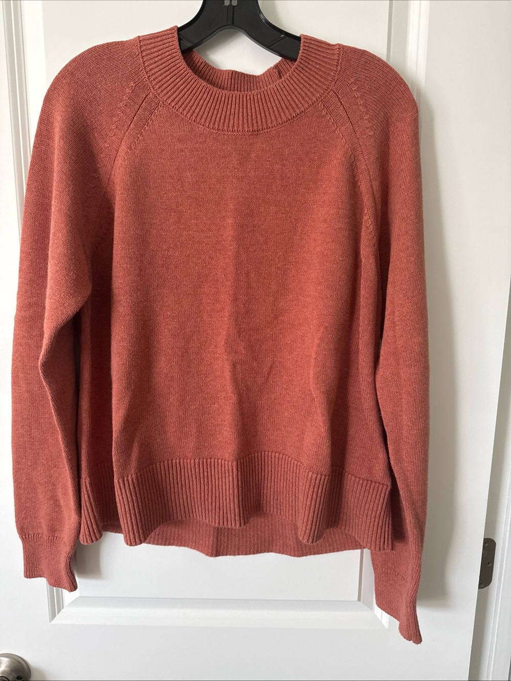 Daily Ritual Sweater Women's L arge Crewneck Burnt Orange Cotton Long Sleeve